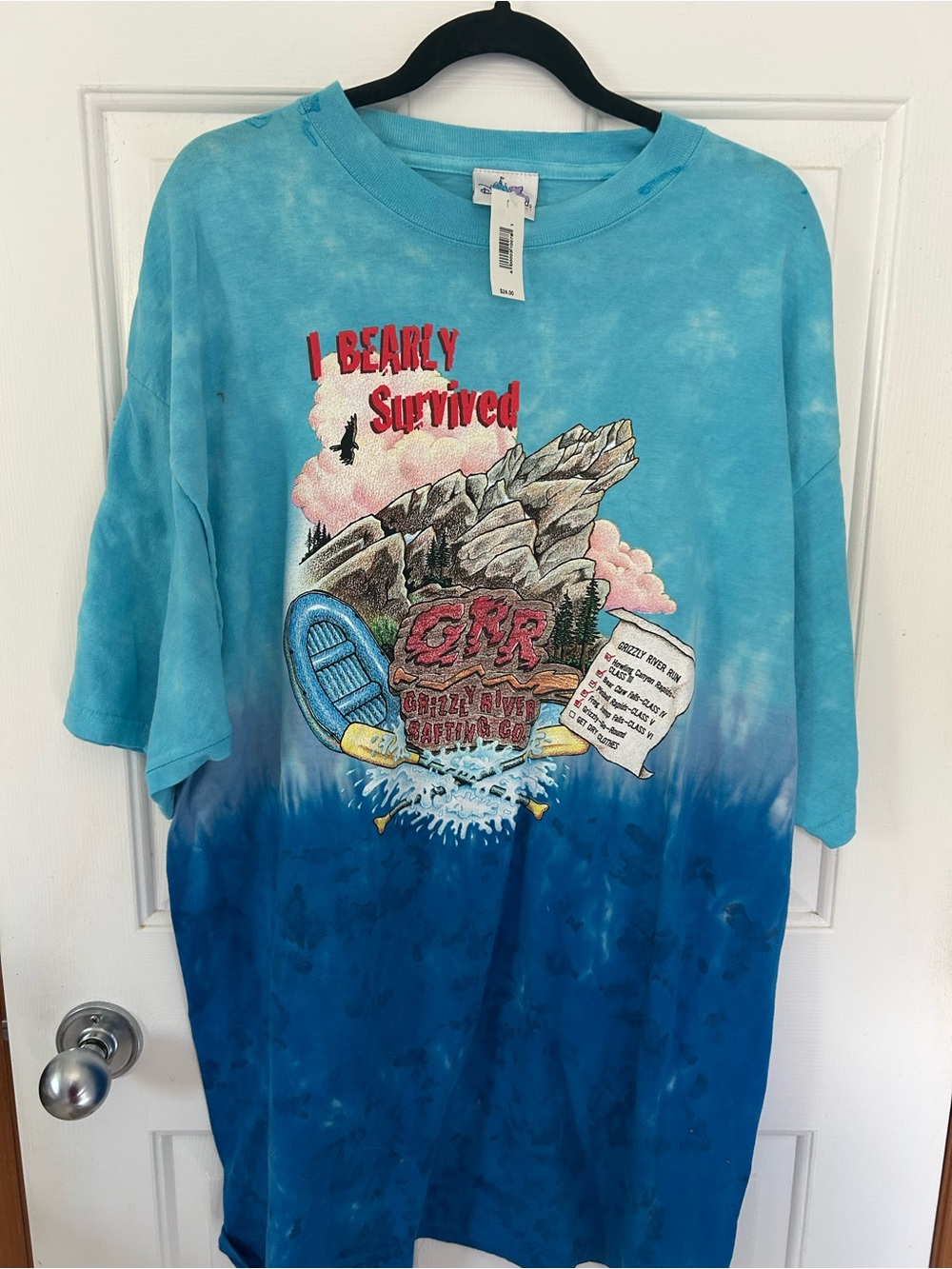 Disney Men's Blue Tie-Dye 'I Bearly Survived' Graphic Tee